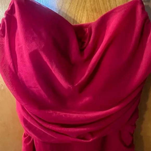 Express Scarlet Dress - Picture 5 of 5